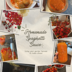 homemade spaghetti sauce
