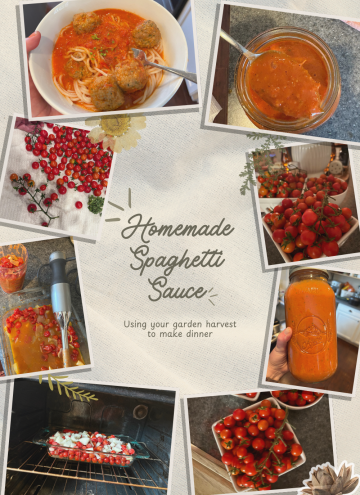 homemade spaghetti sauce